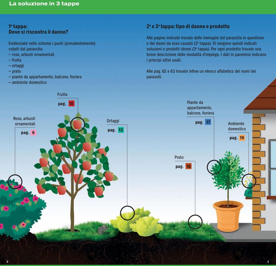 tipo di danno e prodotto Alle pagine indicate trovate delle immagini del parassita in questione e dei danni da esso causati (2 a tappa).