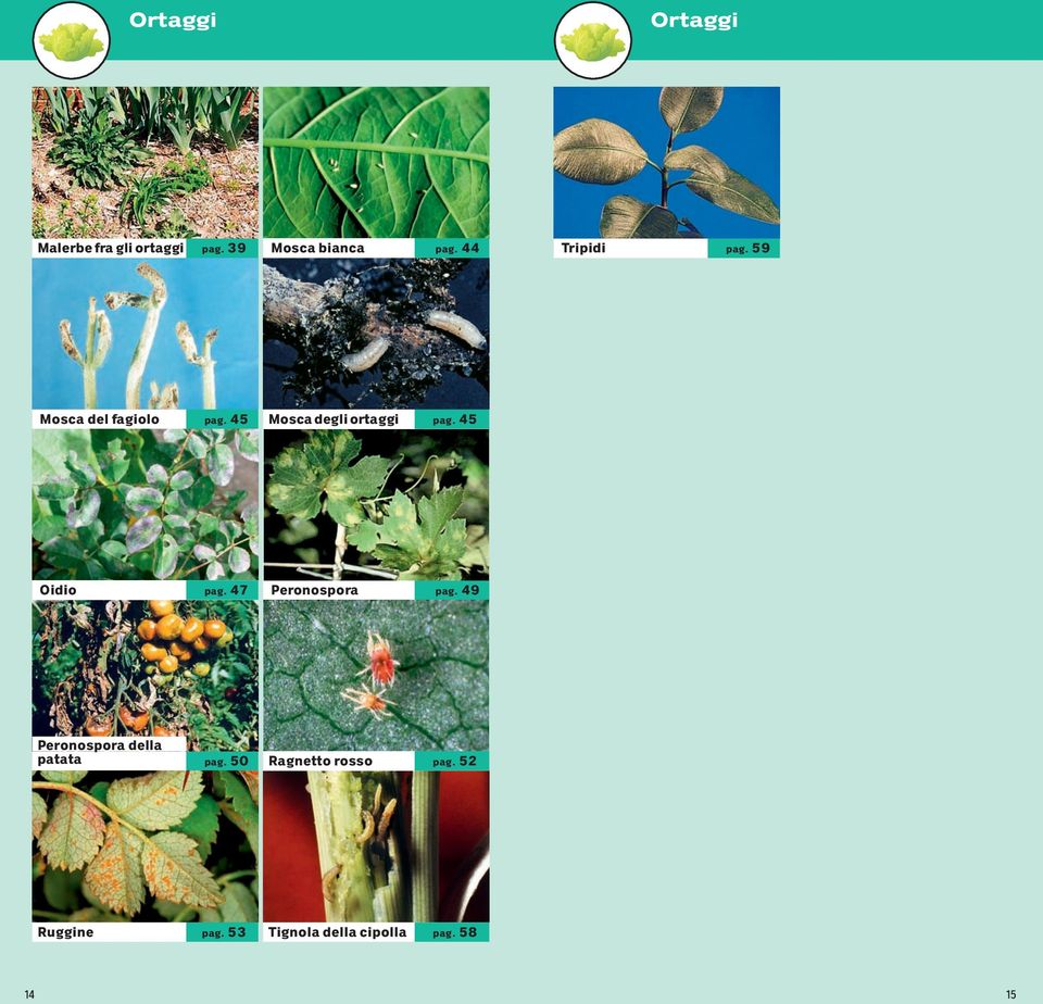 45 Oidio pag. 47 Peronospora pag. 49 Peronospora della patata pag.