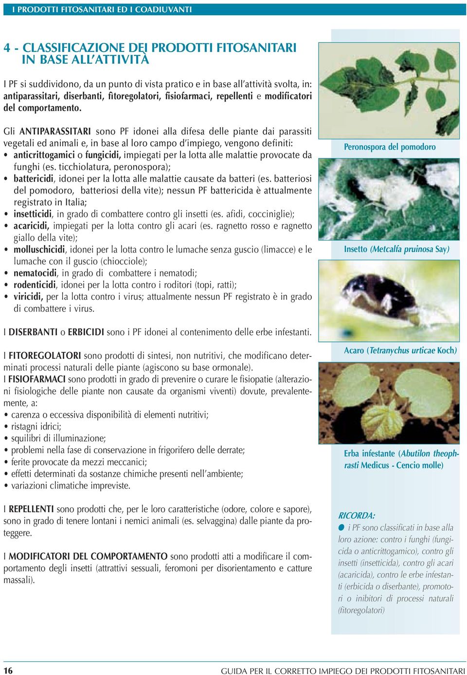 Gli ANTIPARASSITARI sono PF idonei alla difesa delle piante dai parassiti vegetali ed animali e, in base al loro campo d impiego, vengono definiti: anticrittogamici o fungicidi, impiegati per la