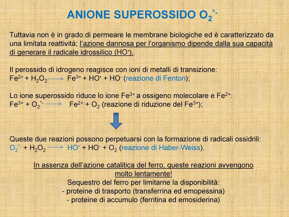 Il perossido di idrogeno reagisce con ioni di metalli di transizione: Fe 2+ + H 2 O 2 Fe 3+ + HO + HO - (reazione di Fenton); Lo ione superossido riduce lo ione Fe 3+ a ossigeno molecolare e Fe 2+ :