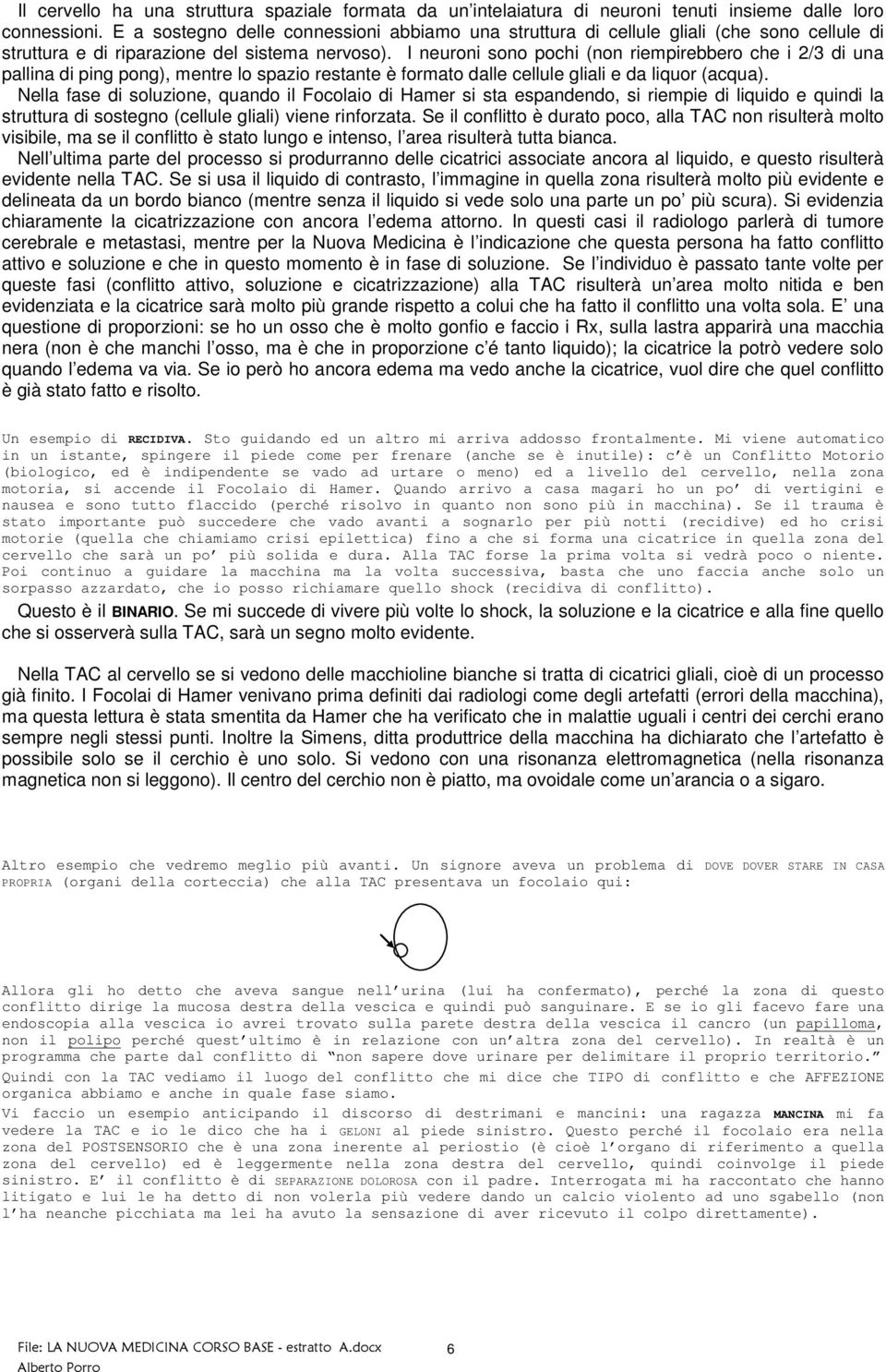 I neuroni sono pochi (non riempirebbero che i 2/3 di una pallina di ping pong), mentre lo spazio restante è formato dalle cellule gliali e da liquor (acqua).