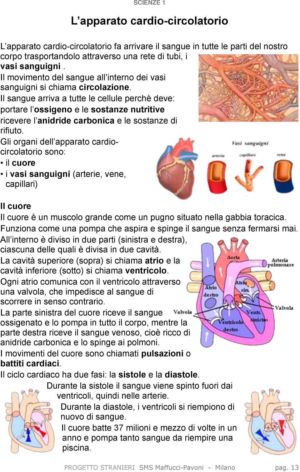 Il sangue arriva a tutte le cellule perchè deve: portare l ossigeno e le sostanze nutritive ricevere l anidride carbonica e le sostanze di rifiuto.