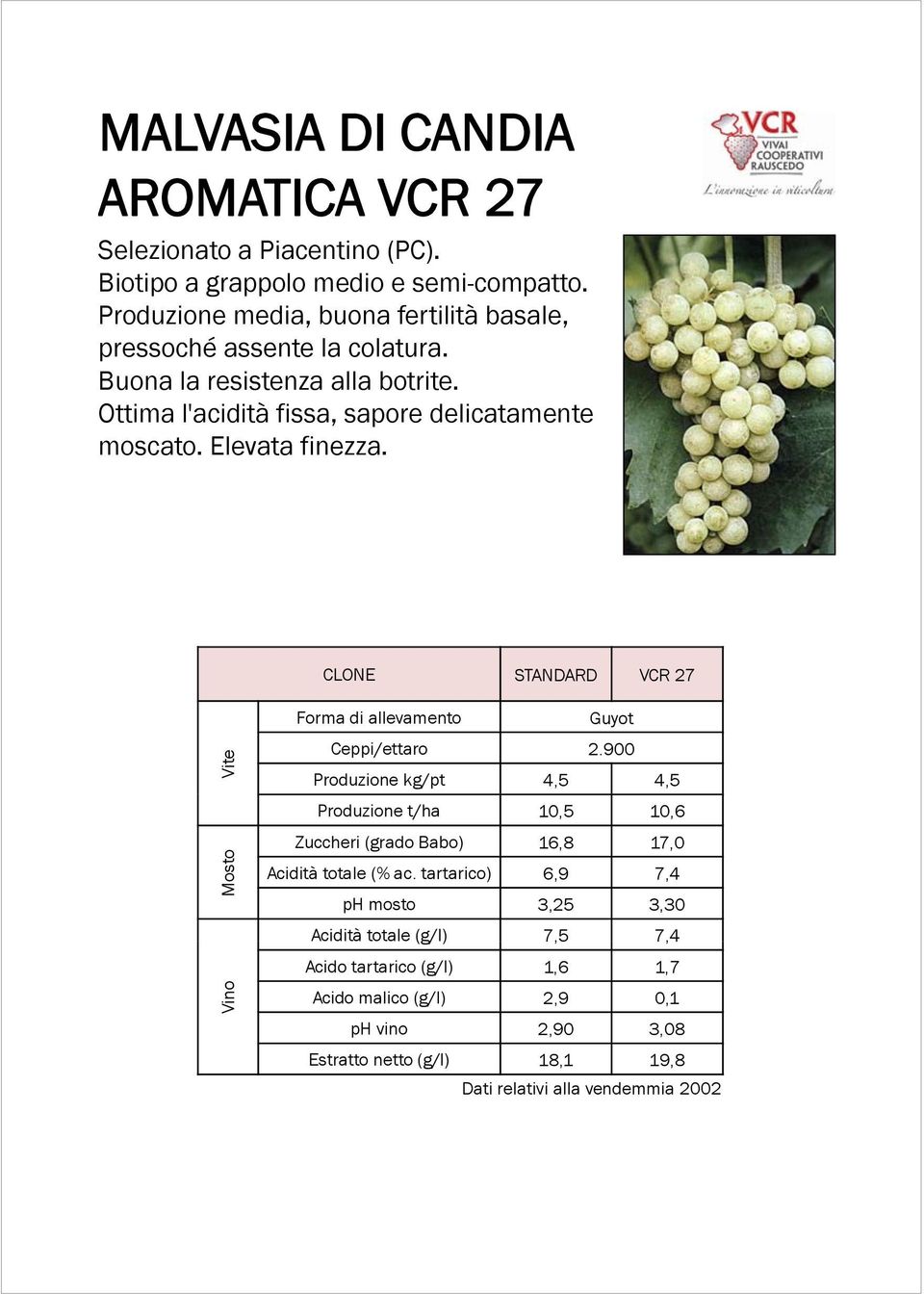 Elevata finezza. CLONE STANDARD VCR 27 Vite Mosto Vino Forma di allevamento Guyot Ceppi/ettaro 2.