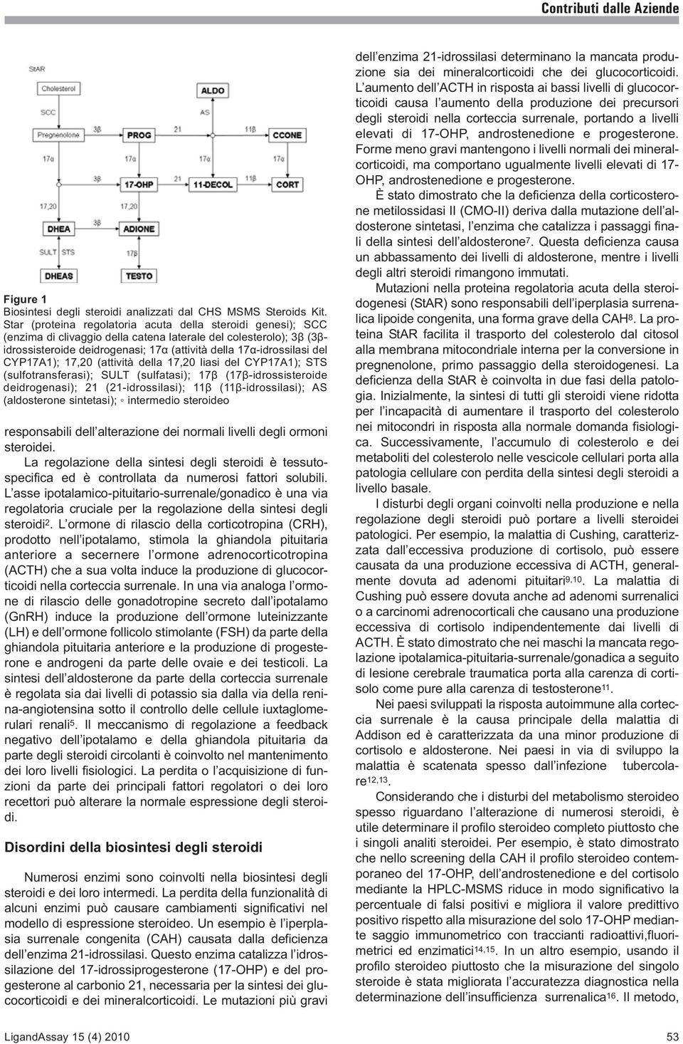 CYP17A1); 17,20 (attività della 17,20 liasi del CYP17A1); STS (sulfotransferasi); SULT (sulfatasi); 17β (17β-idrossisteroide deidrogenasi); 21 (21-idrossilasi); 11β (11β-idrossilasi); AS (aldosterone