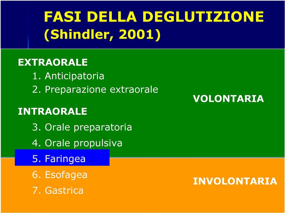 Preparazione extraorale INTRAORALE VOLONTARIA 3.