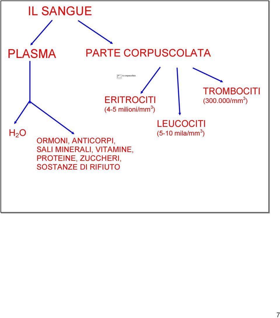 SALI MINERALI, VITAMINE, PROTEINE, ZUCCHERI, SOSTANZE DI