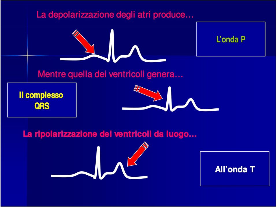 genera Il complesso QRS La