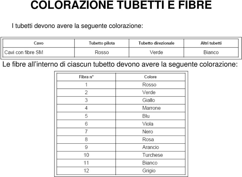 Le fibre all interno di ciascun