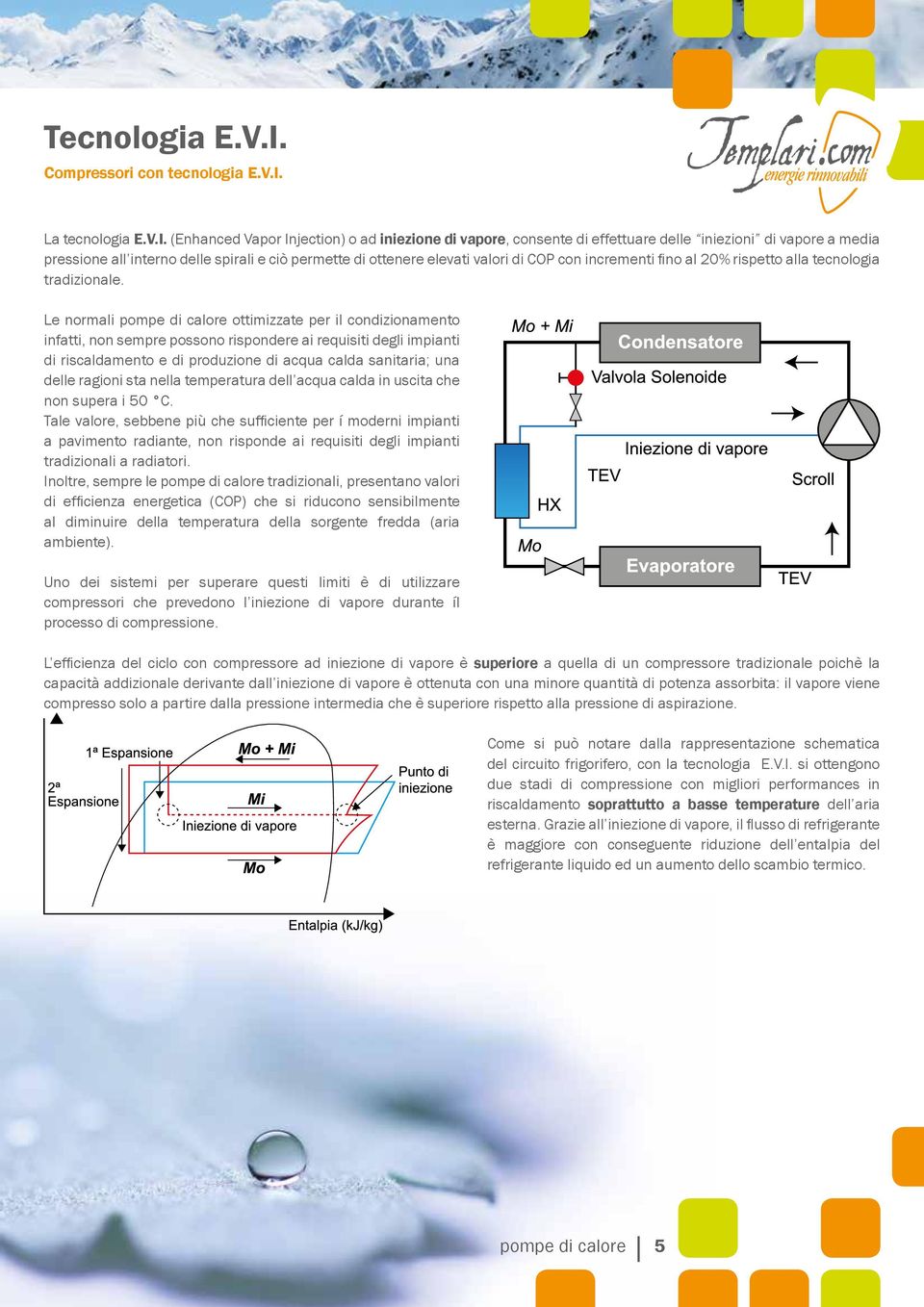 La tecnologia E.V.I.