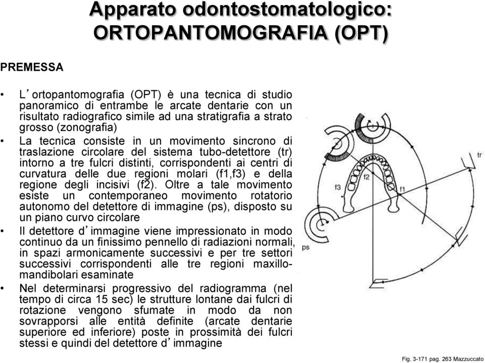 di curvatura delle due regioni molari (f1,f3) e della regione degli incisivi (f2).