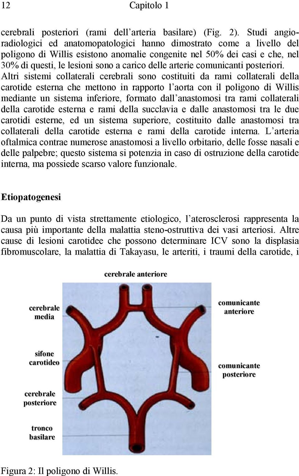 delle arterie comunicanti posteriori.