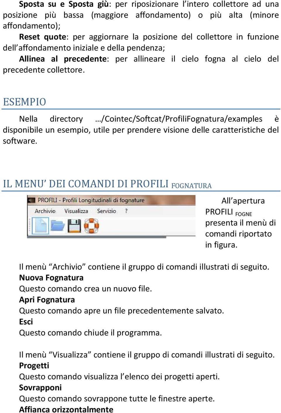 ESEMPIO Nella directory /Cointec/Softcat/ProfiliFognatura/examples è disponibile un esempio, utile per prendere visione delle caratteristiche del software.