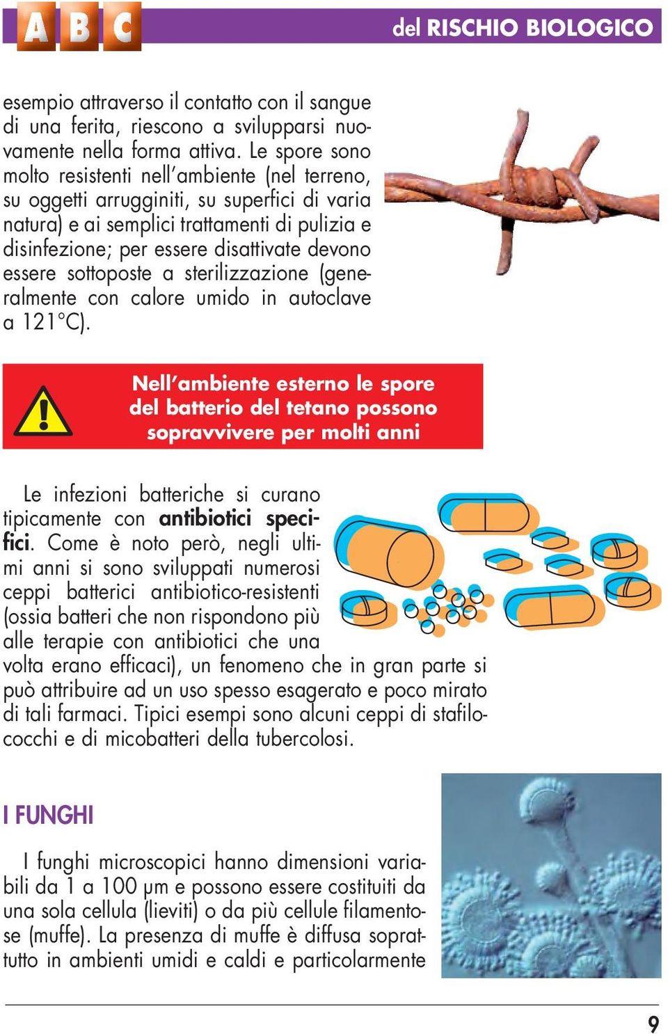 essere sottoposte a sterilizzazione (generalmente con calore umido in autoclave a 121 C).