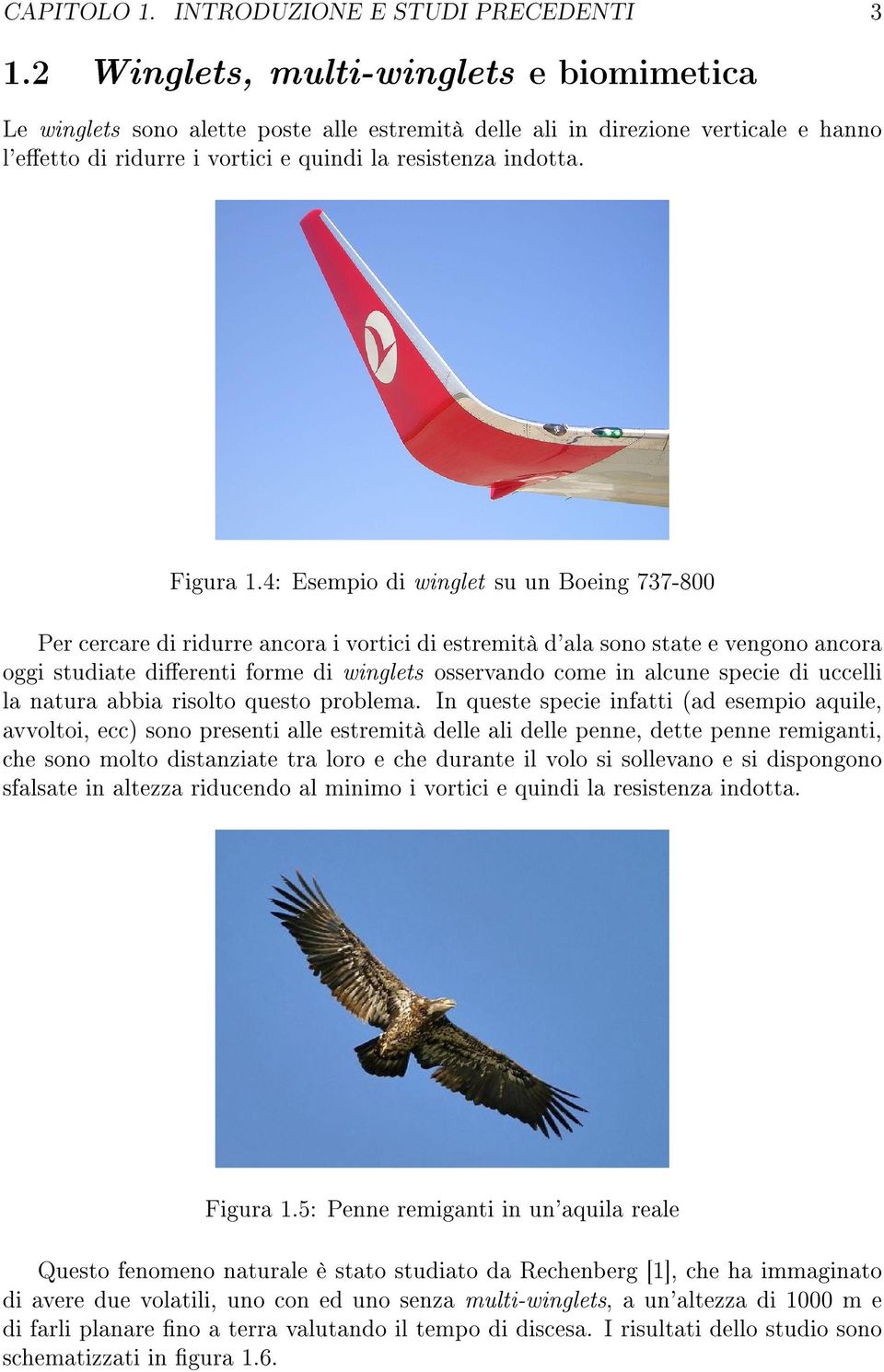 4: Esempio di winglet su un Boeing 737-800 Per cercare di ridurre ancora i vortici di estremità d'ala sono state e vengono ancora oggi studiate dierenti forme di winglets osservando come in alcune