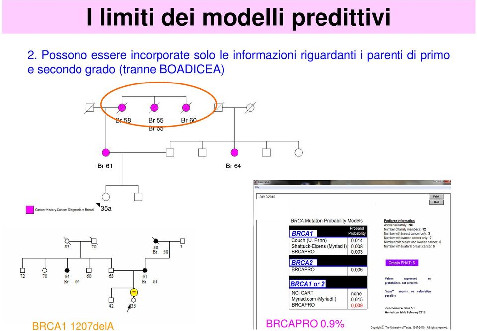 riguardanti i parenti di primo e secondo grado