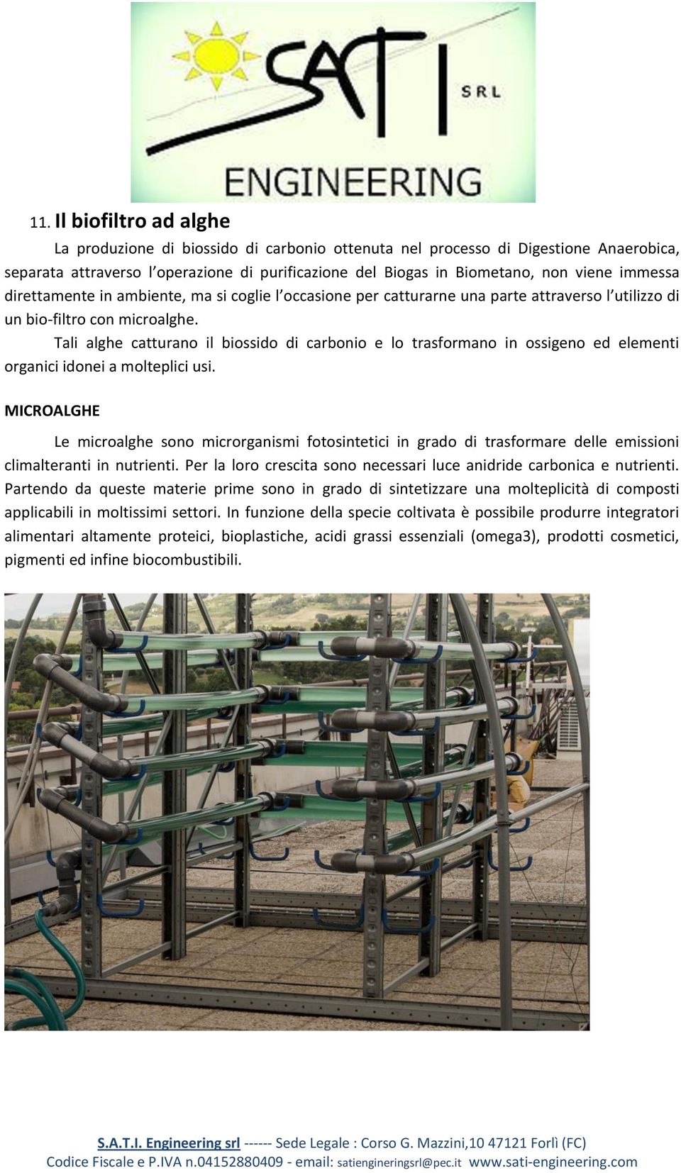 Tali alghe catturano il biossido di carbonio e lo trasformano in ossigeno ed elementi organici idonei a molteplici usi.