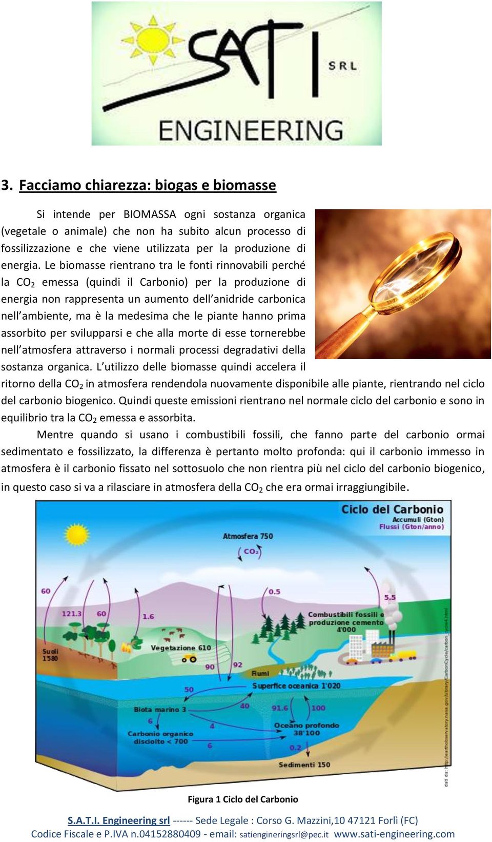 Le biomasse rientrano tra le fonti rinnovabili perché la CO 2 emessa (quindi il Carbonio) per la produzione di energia non rappresenta un aumento dell anidride carbonica nell ambiente, ma è la