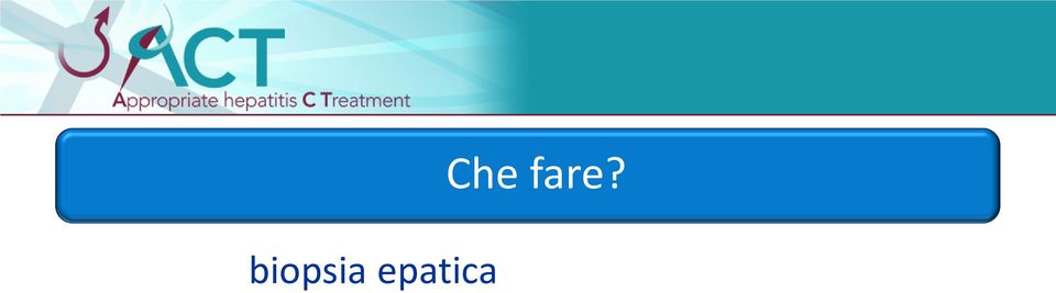 Che fare?