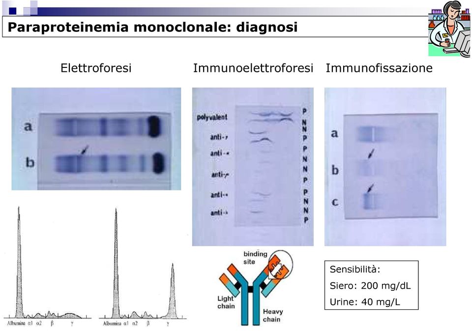 Immunoelettroforesi