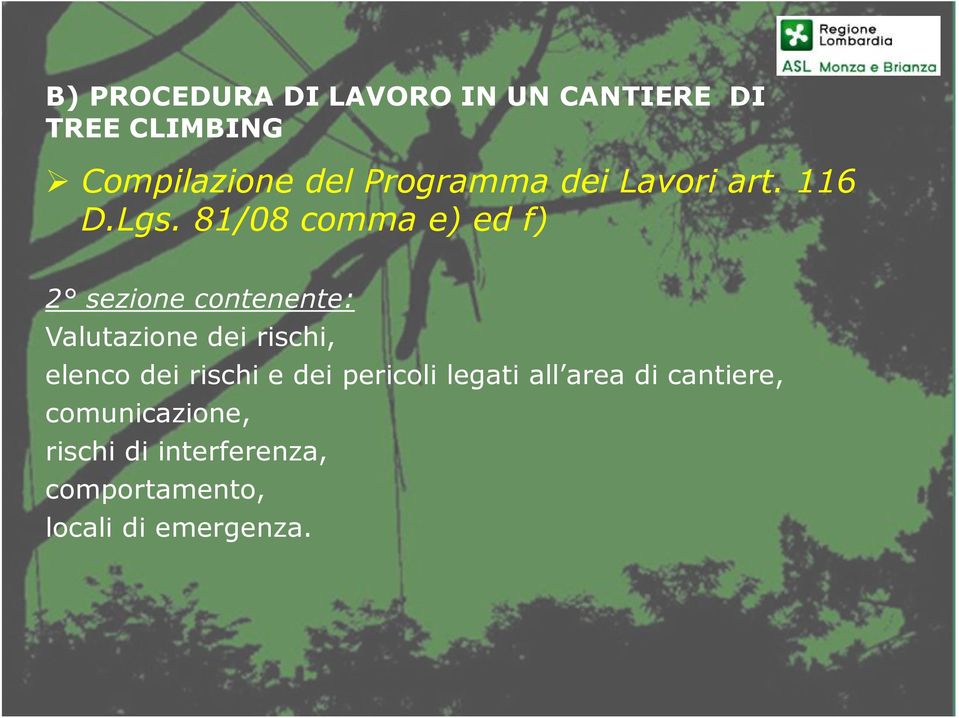 81/08 comma e) ed f) 2 sezione contenente: Valutazione dei rischi, elenco dei