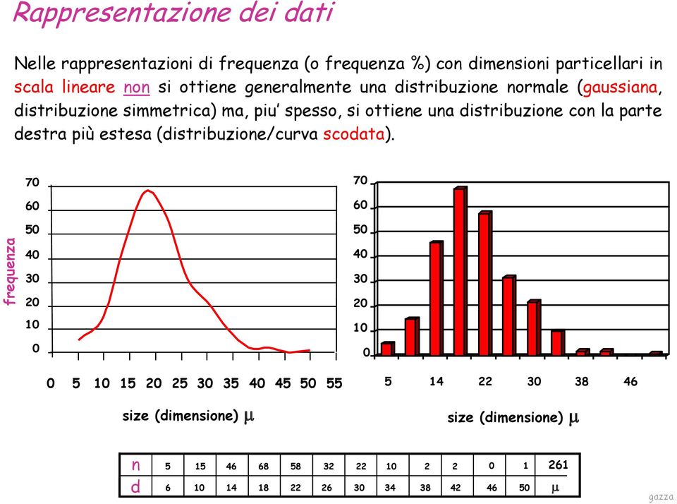 distribuzione con la parte destra più estesa (distribuzione/curva scodata).