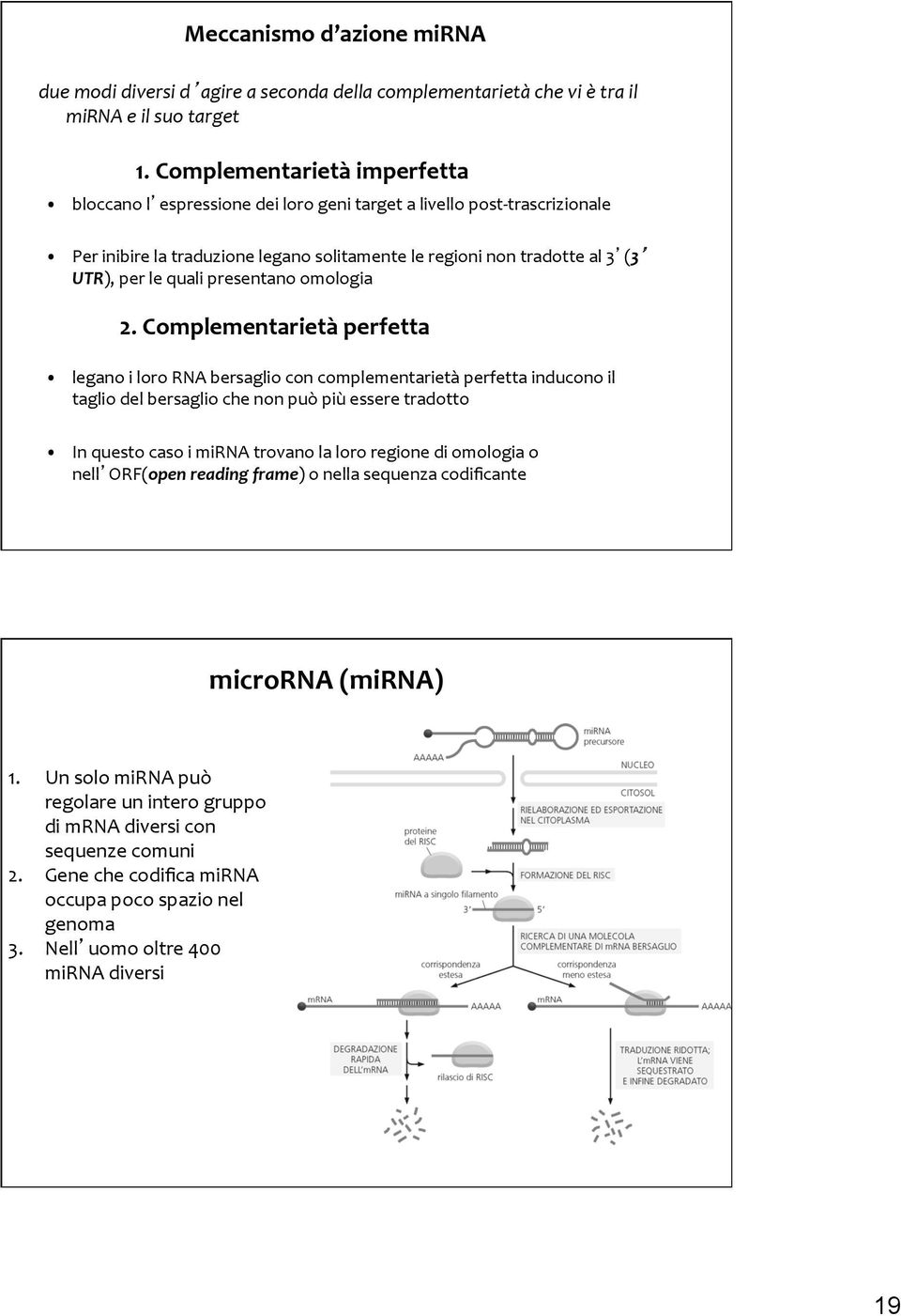 presentano omologia 2.