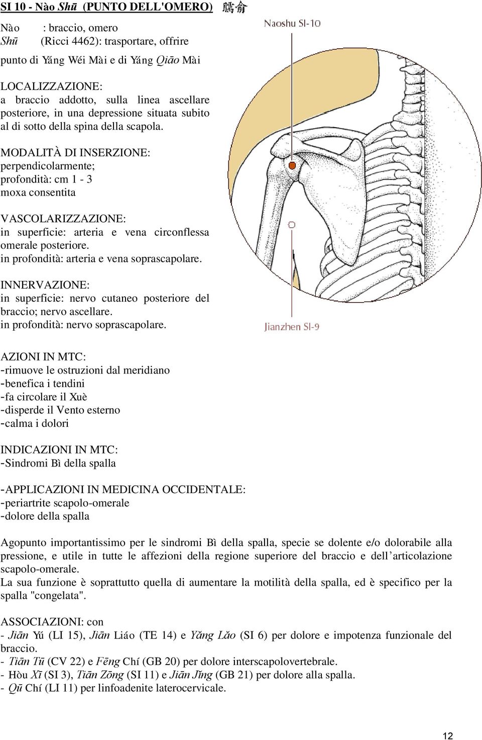 in superficie: nervo cutaneo posteriore del braccio; nervo ascellare. in profondità: nervo soprascapolare.
