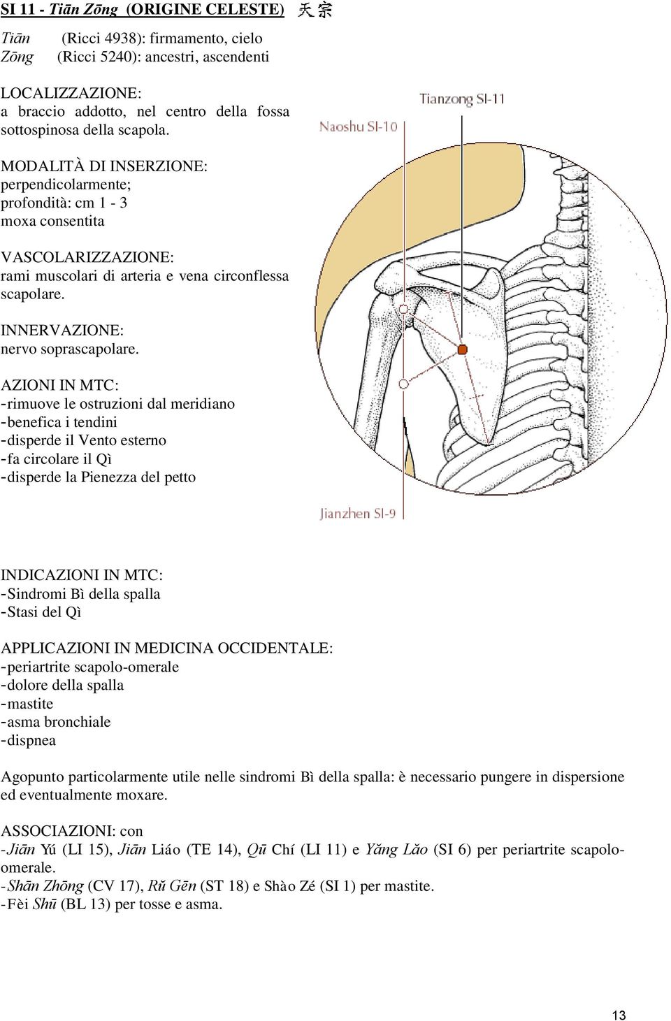 - benefica i tendini - disperde il Vento esterno - fa circolare il Qì - disperde la Pienezza del petto INDIC - Sindromi Bì della spalla - Stasi del Qì - periartrite scapolo-omerale - dolore della