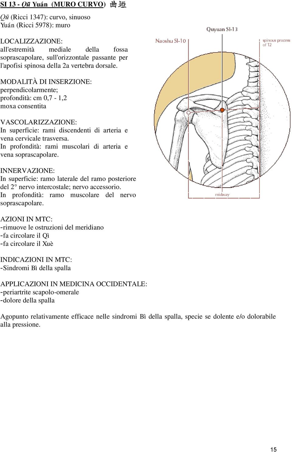 In superficie: ramo laterale del ramo posteriore del 2 nervo intercostale; nervo accessorio. In profondità: ramo muscolare del nervo soprascapolare.