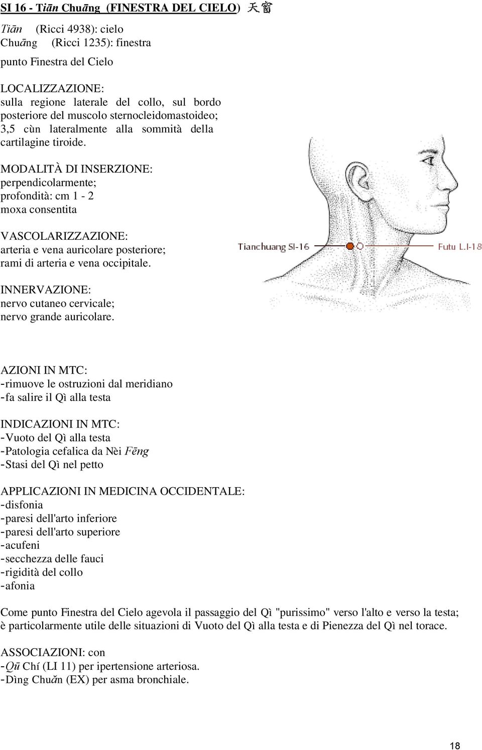 nervo cutaneo cervicale; nervo grande auricolare.