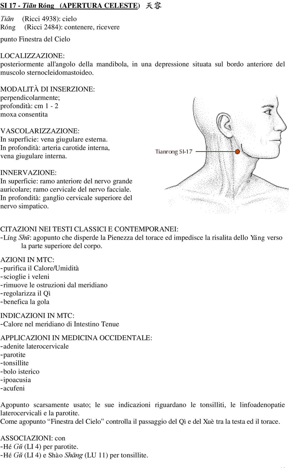 In superficie: ramo anteriore del nervo grande auricolare; ramo cervicale del nervo facciale. In profondità: ganglio cervicale superiore del nervo simpatico.