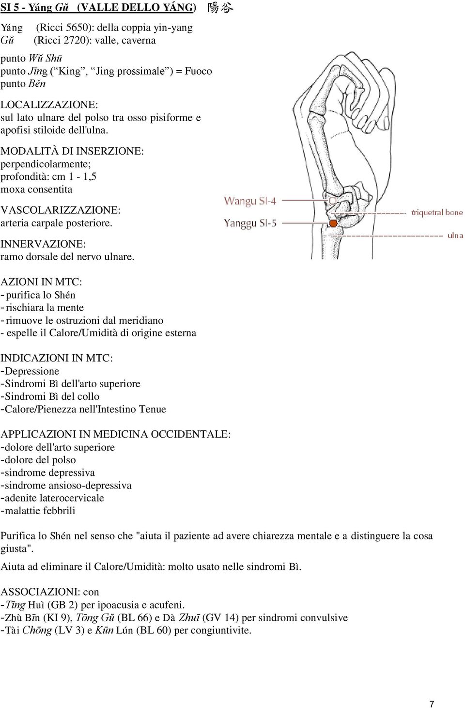 - purifica lo Shén - rischiara la mente - espelle il Calore/Umidità di origine esterna INDIC - Depressione - Sindromi Bì dell'arto superiore - Sindromi Bì del collo - Calore/Pienezza nell'intestino