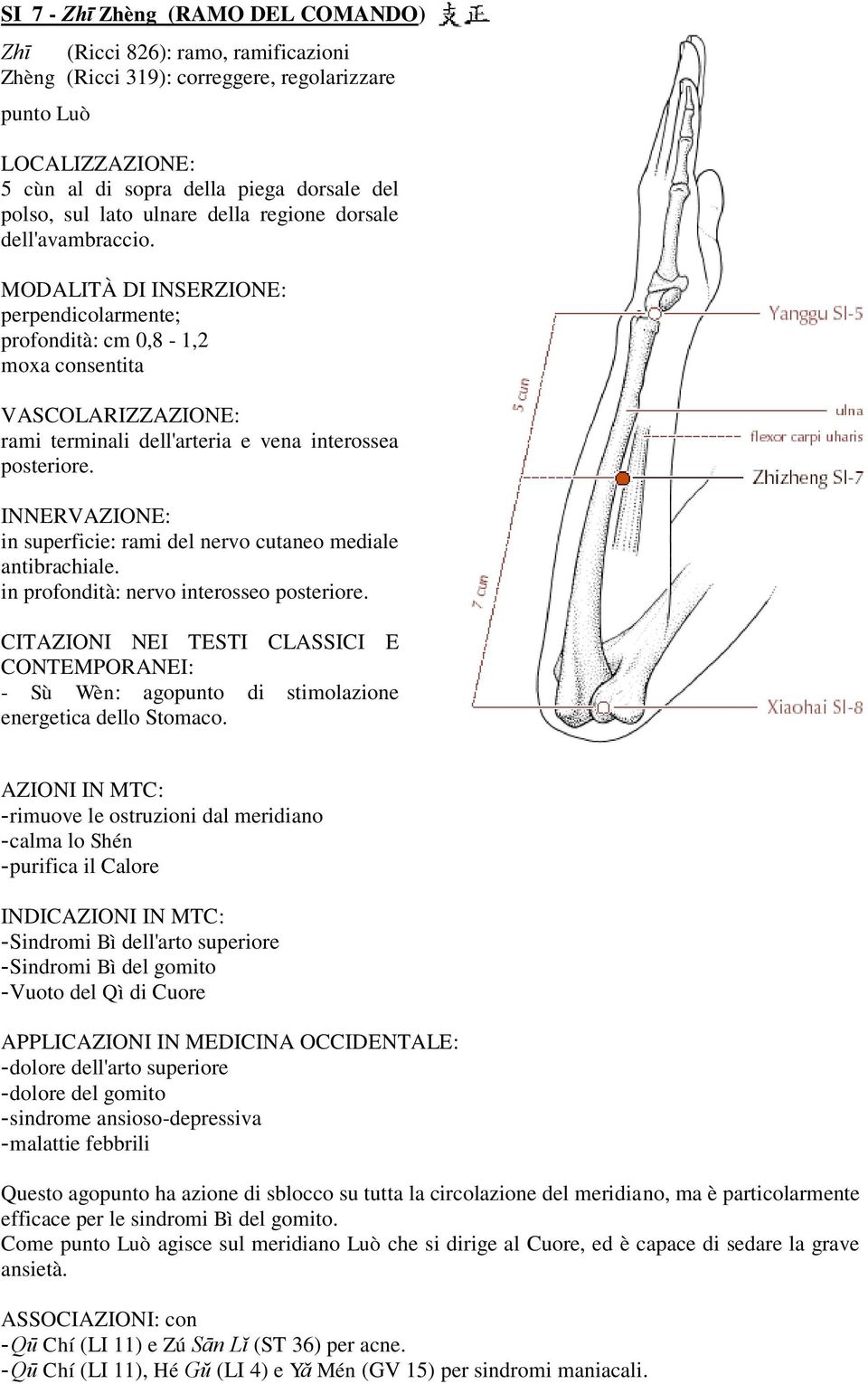 in profondità: nervo interosseo posteriore. CITAZIONI NEI TESTI CLASSICI E CONTEMPORANEI: - Sù Wèn: agopunto di stimolazione energetica dello Stomaco.