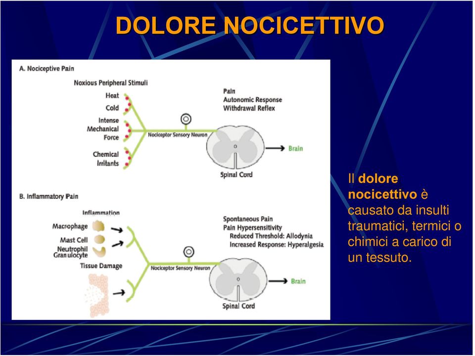 insulti traumatici, termici