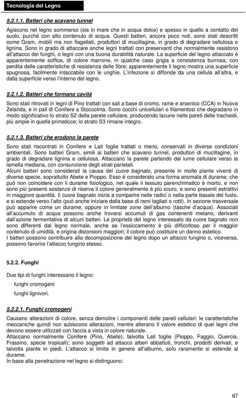 Sono in grado di attaccare anche legni trattati con preservanti che normalmente resistono all attacco dei funghi, o legni con una buona durabilità naturale.