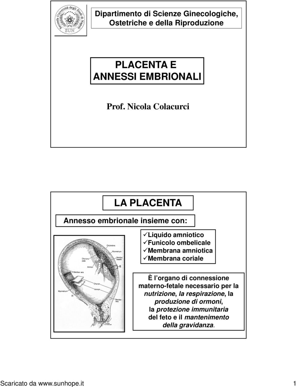 amniotica Membrana coriale È l organo di connessione materno-fetale necessario per la nutrizione, la respirazione,