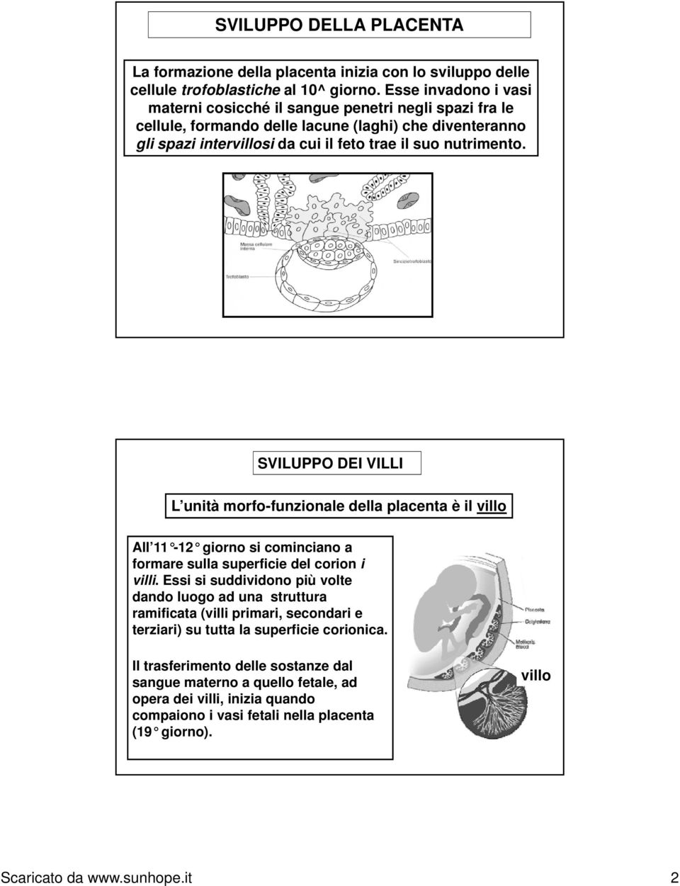 SVILUPPO DEI VILLI L unità morfo-funzionale della placenta è il villo All 11-12 12 giorno si cominciano a formare sulla superficie del corion i villi.