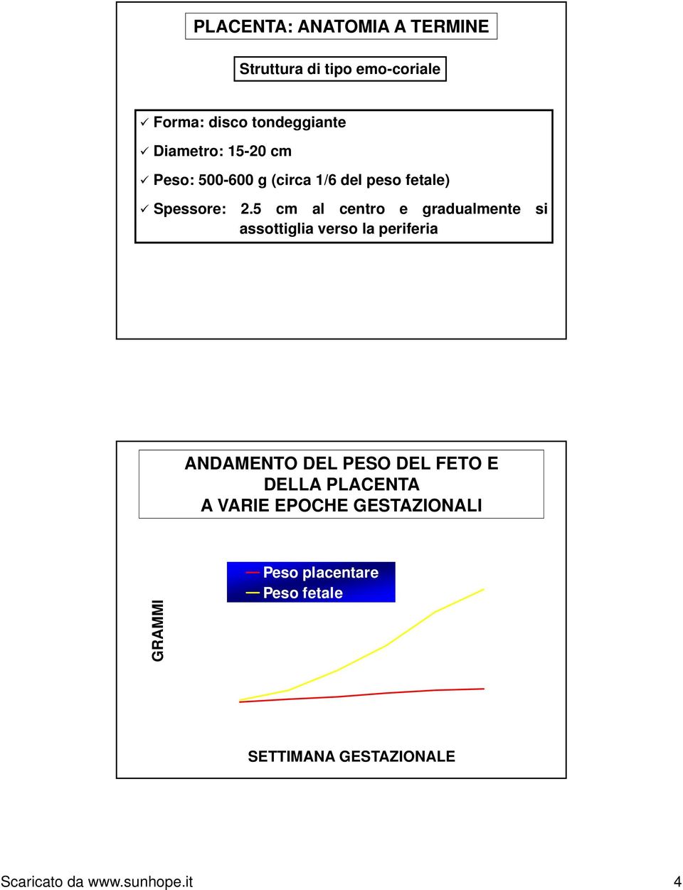 5 cm al centro e gradualmente si assottiglia verso la periferia ANDAMENTO DEL PESO DEL FETO E DELLA PLACENTA A