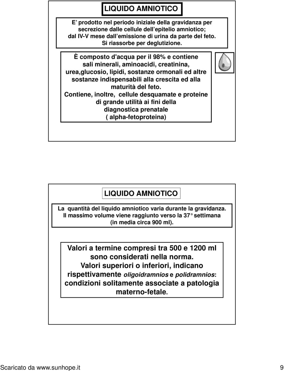 È composto d'acqua per il 98% e contiene sali minerali, aminoacidi, creatinina, urea,glucosio, lipidi, sostanze ormonali ed altre sostanze indispensabili alla crescita ed alla maturità del feto.