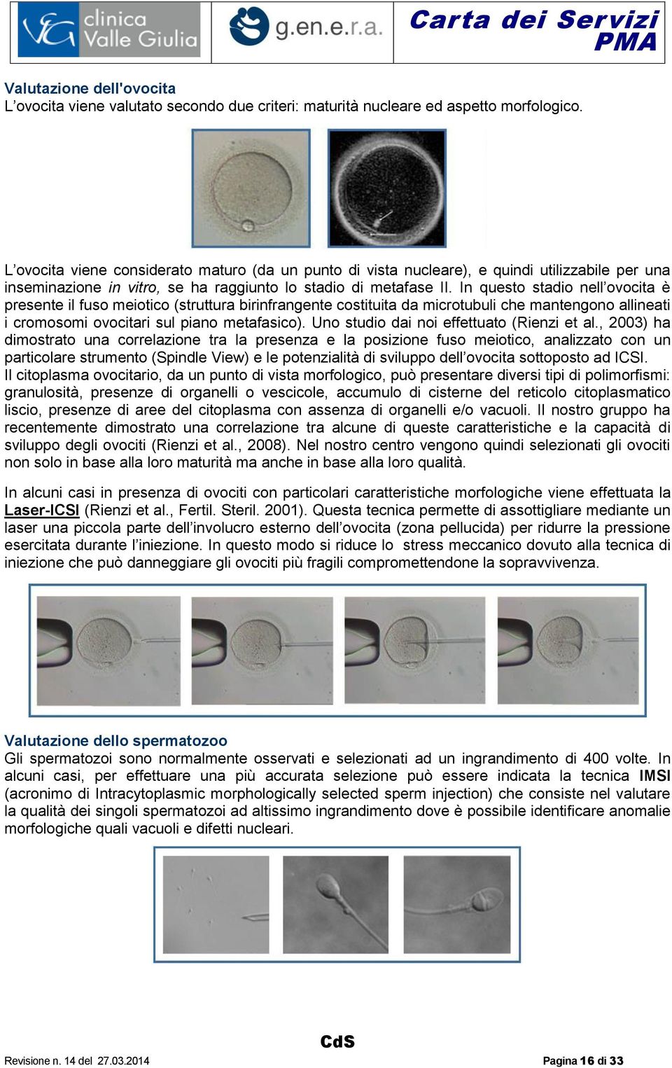 In questo stadio nell ovocita è presente il fuso meiotico (struttura birinfrangente costituita da microtubuli che mantengono allineati i cromosomi ovocitari sul piano metafasico).