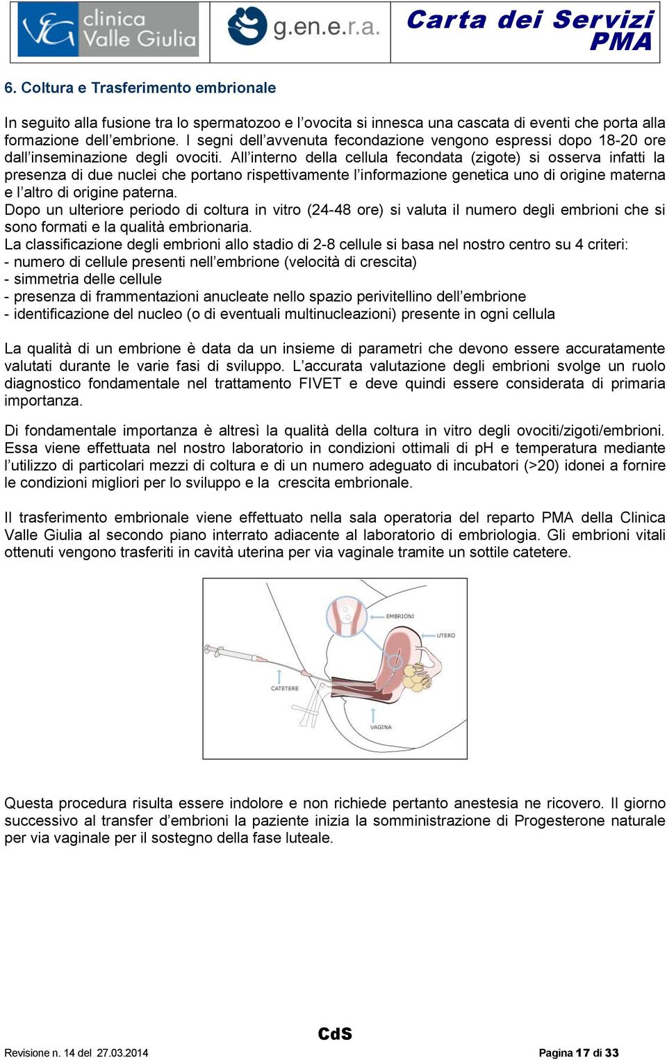 All interno della cellula fecondata (zigote) si osserva infatti la presenza di due nuclei che portano rispettivamente l informazione genetica uno di origine materna e l altro di origine paterna.