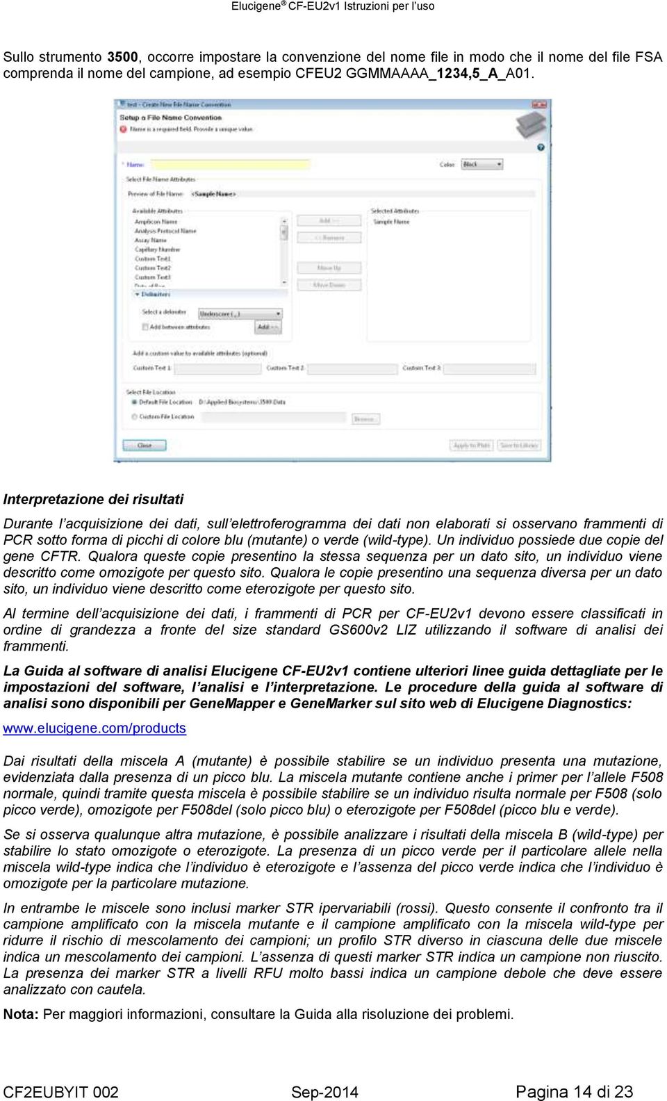 (wild-type). Un individuo possiede due copie del gene CFTR. Qualora queste copie presentino la stessa sequenza per un dato sito, un individuo viene descritto come omozigote per questo sito.