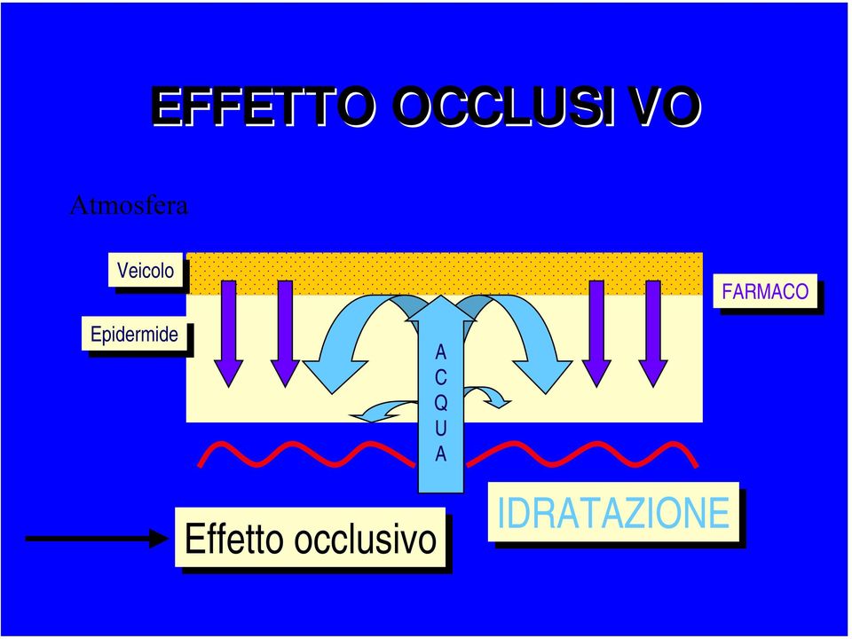 Epidermide A C Q U A