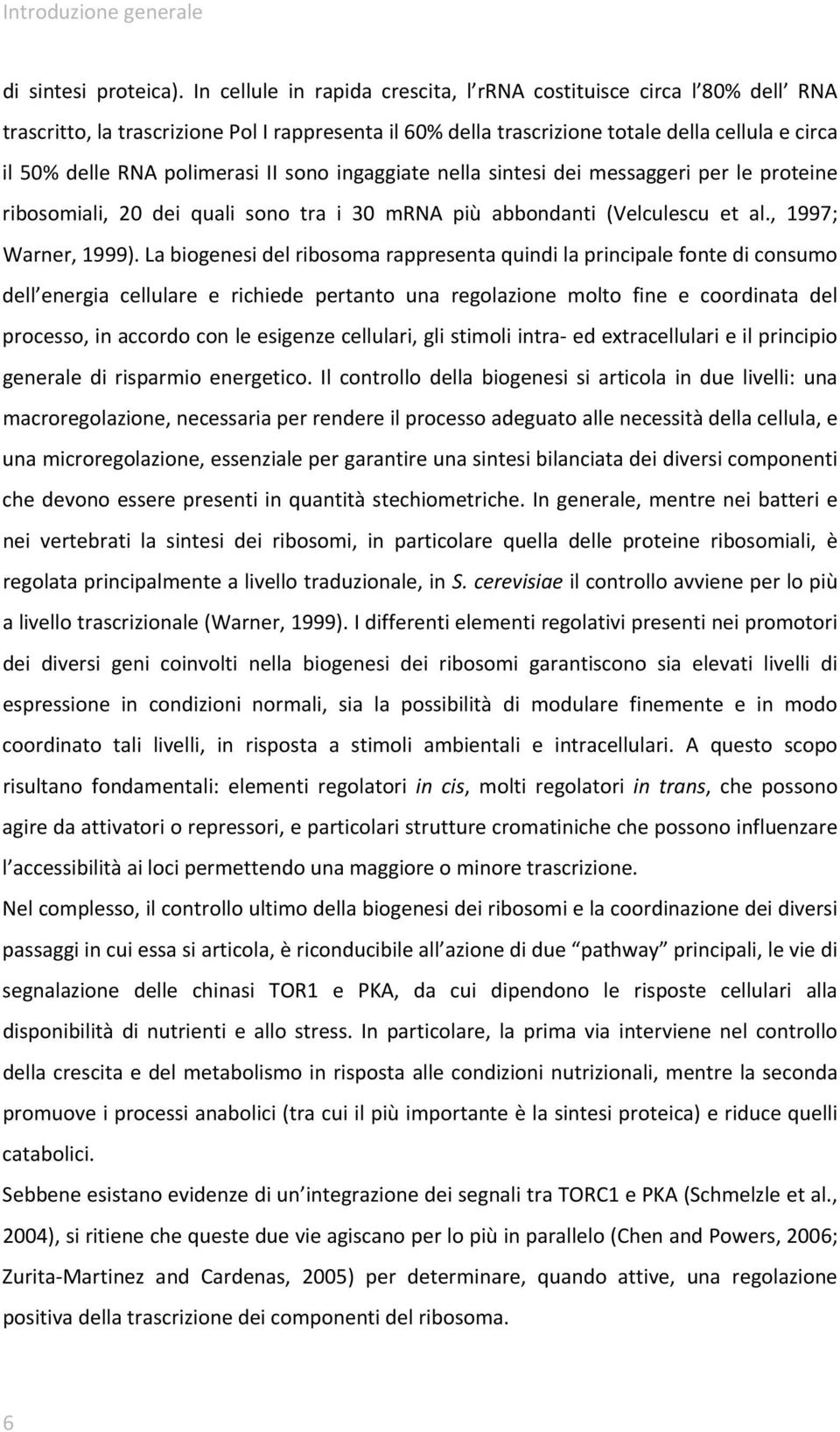 II sono ingaggiate nella sintesi dei messaggeri per le proteine ribosomiali, 20 dei quali sono tra i 30 mrna più abbondanti (Velculescu et al., 1997; Warner, 1999).