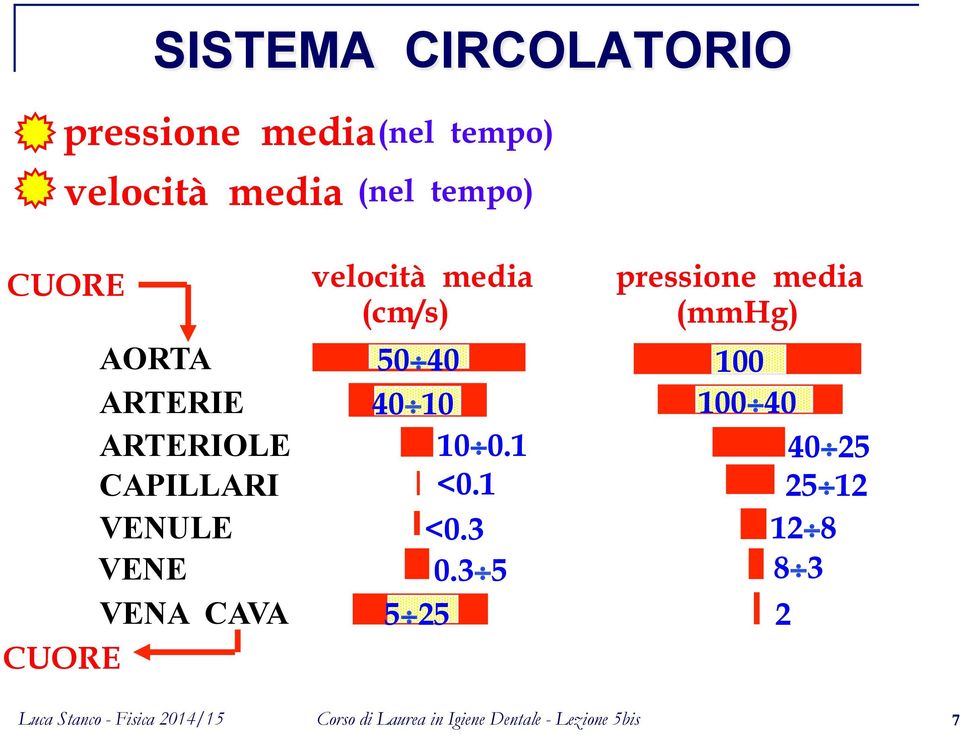 AORTA 50 40 100 ARTERIE 40 10 100 40 ARTERIOLE 10 0.