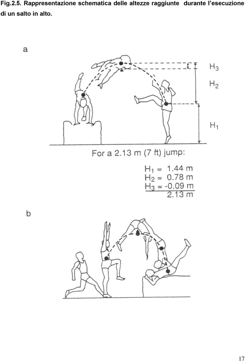 schematica delle altezze