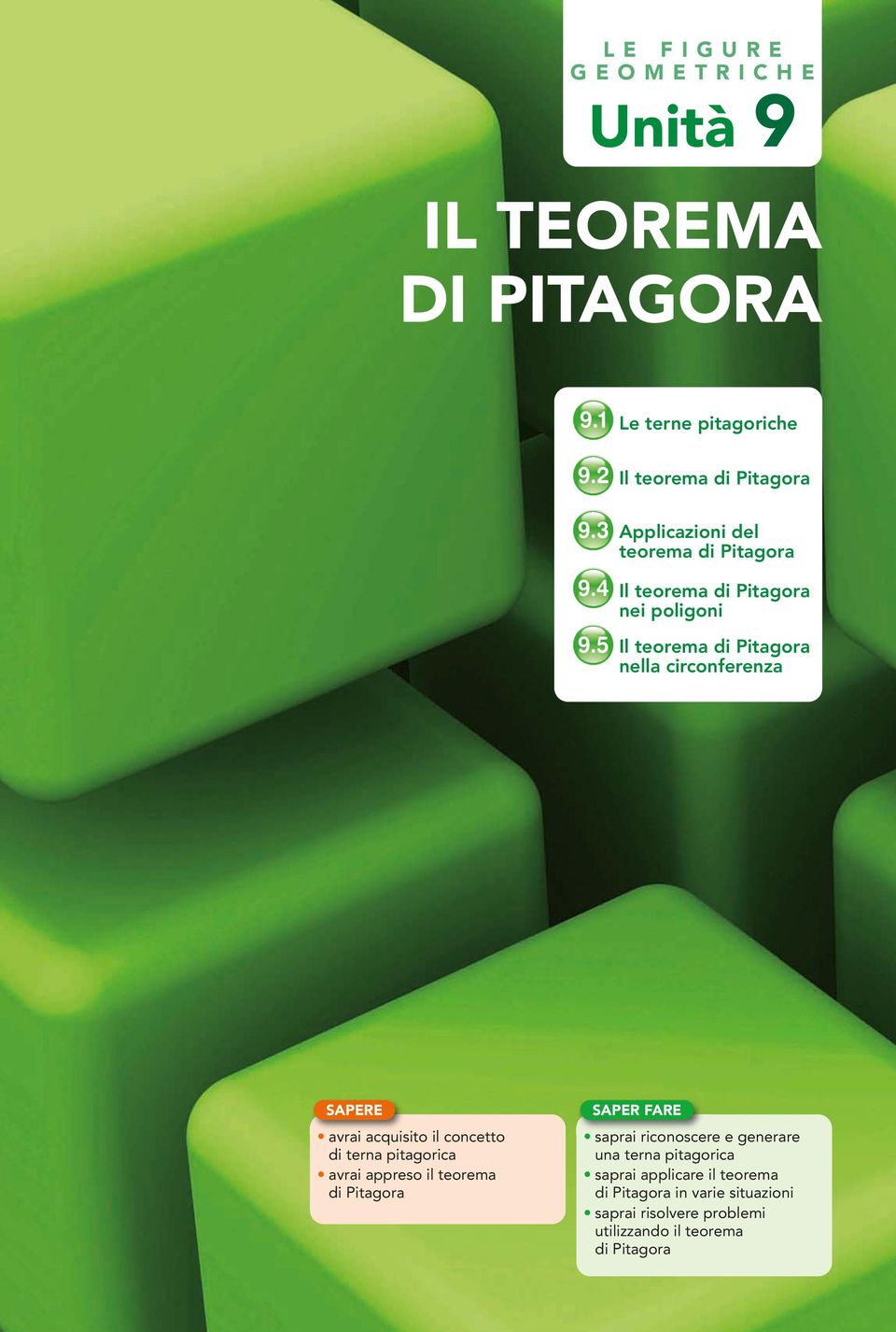 9. Le terne pitagoriche Il teorema di Pitagora 9.