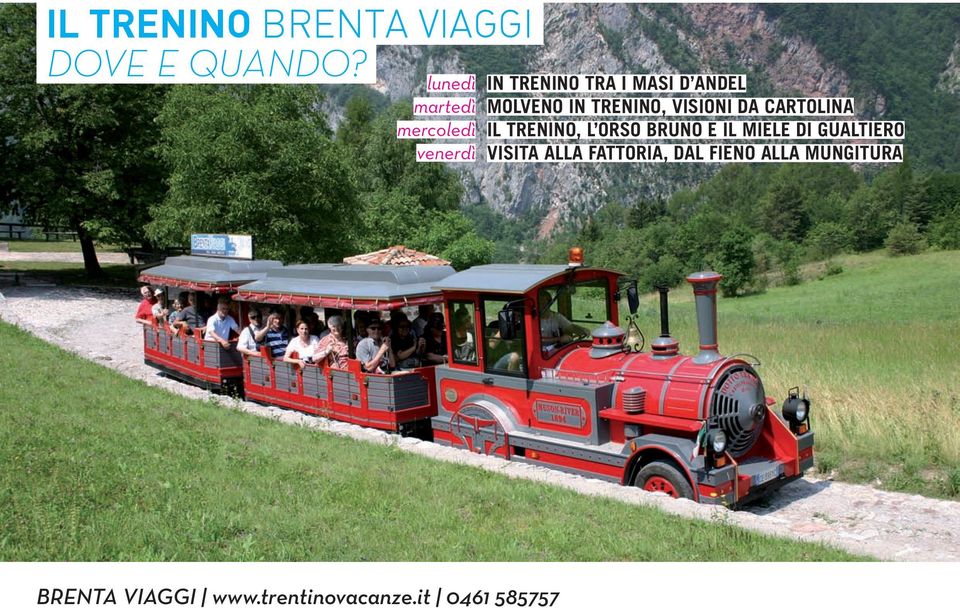 IN TRENINO, VISIONI DA CARTOLINA IL TRENINO, L ORSO BRUNO E IL MIELE DI