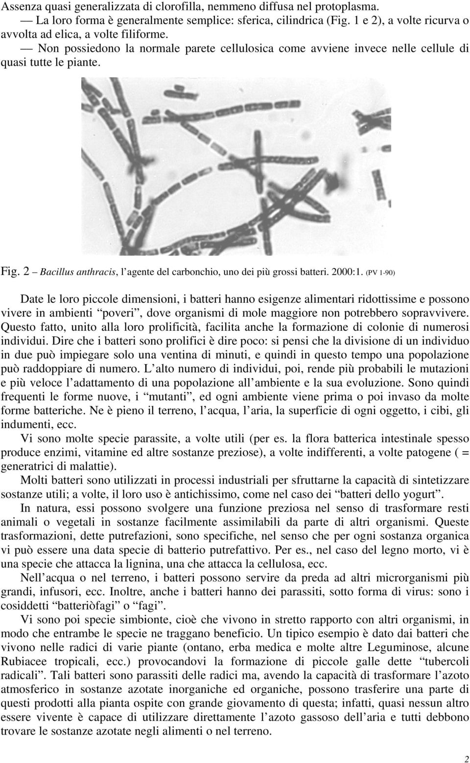 2 Bacillus anthracis, l agente del carbonchio, uno dei più grossi batteri. 2000:1.