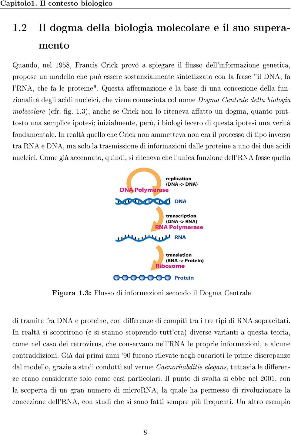 sintetizzato con la frase "il DNA, fa l'rna, che fa le proteine".